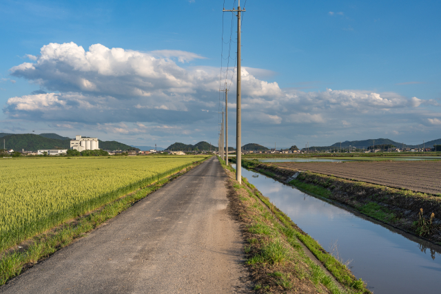 農地転用